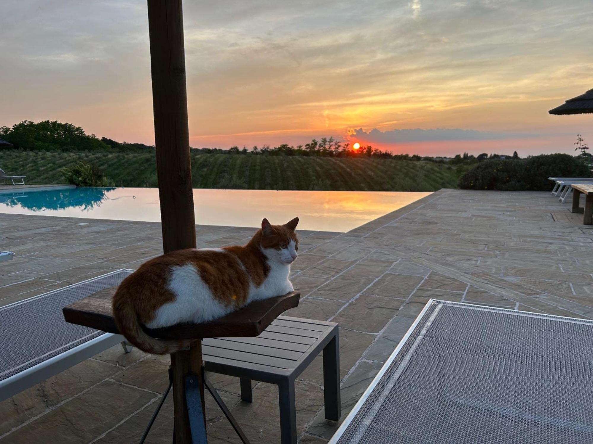 Agriturismo La Rinaldina Faenza Ngoại thất bức ảnh