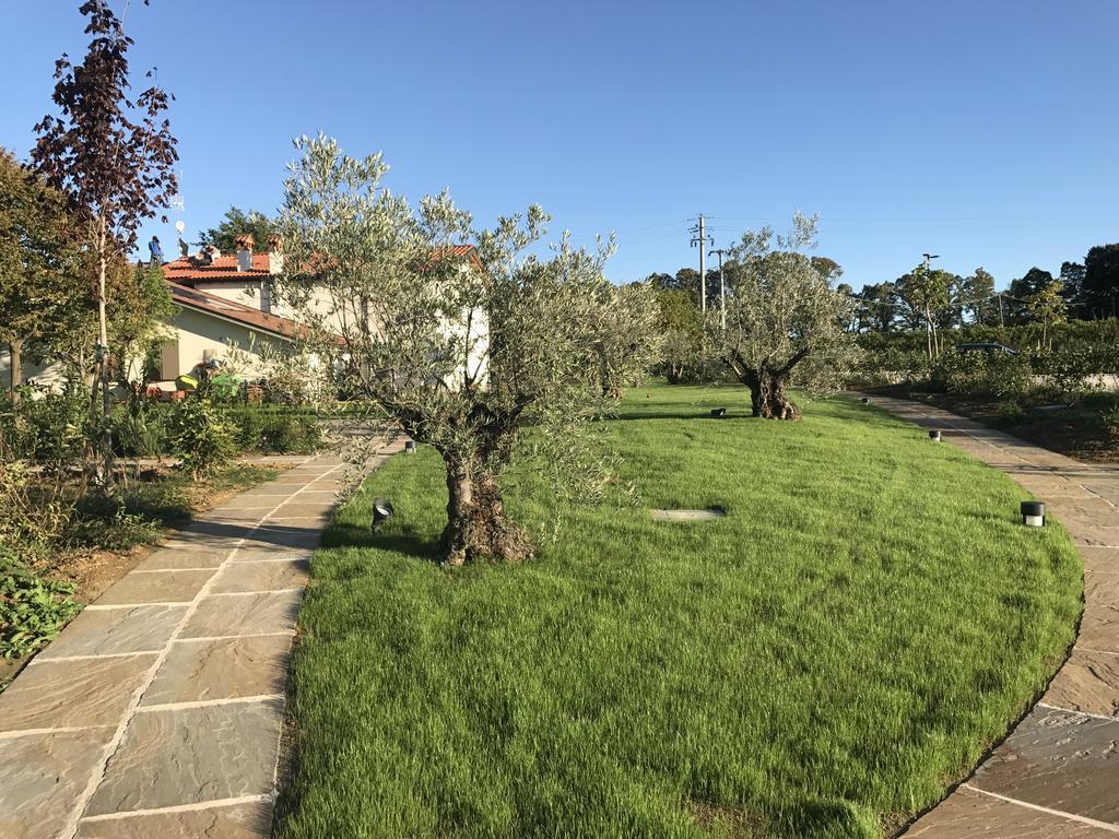 Agriturismo La Rinaldina Faenza Ngoại thất bức ảnh